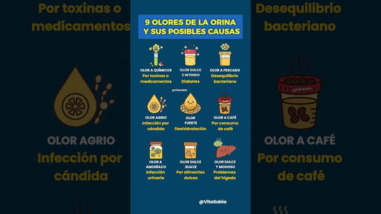 9 OLORES DE LA ORINA Y SUS POSIBLES CAUSAS