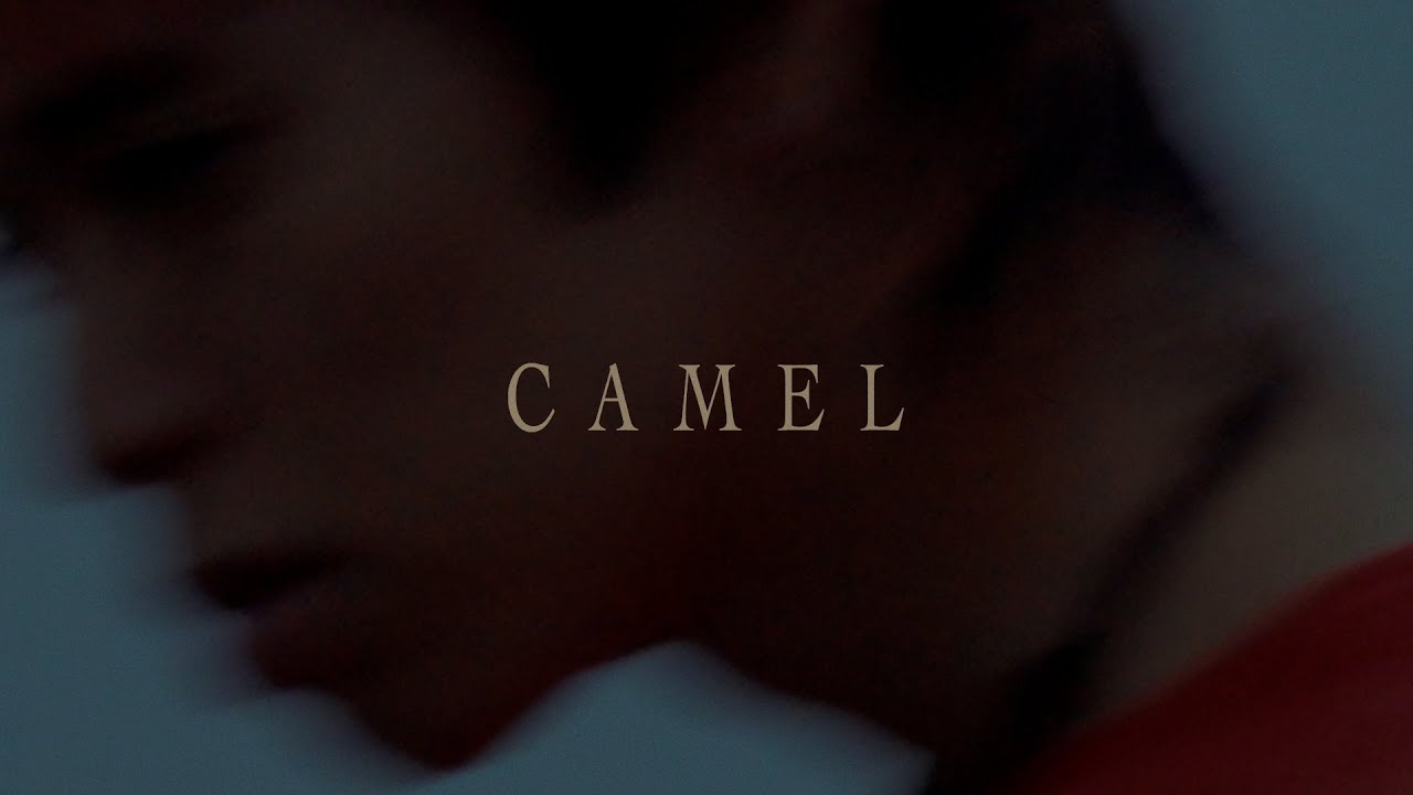 PEARL CENTER - CAMEL（Official Visualizer）