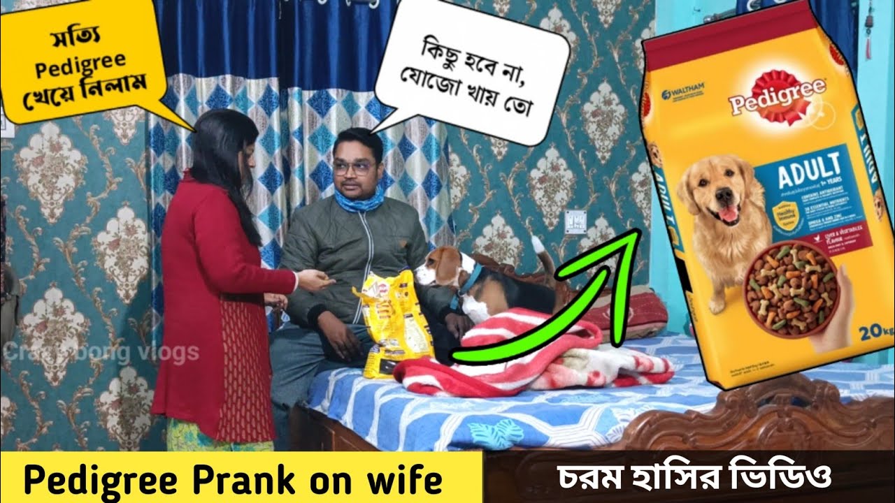 Pedigree Prank on wife 💥 ভুল করে Pedigree খেয়ে নিলো পম্পা 🤪 চরম বাওয়াল 😂 Prank on wife