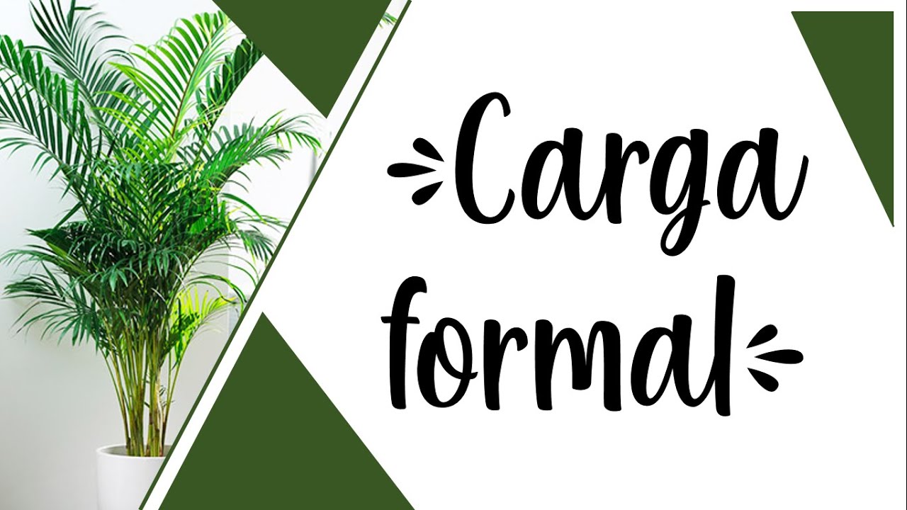 Carga formal || &iquest;QU&Eacute; ES? || &iquest;C&Oacute;MO CALCULAR CARGAS FORMALES|| ✨