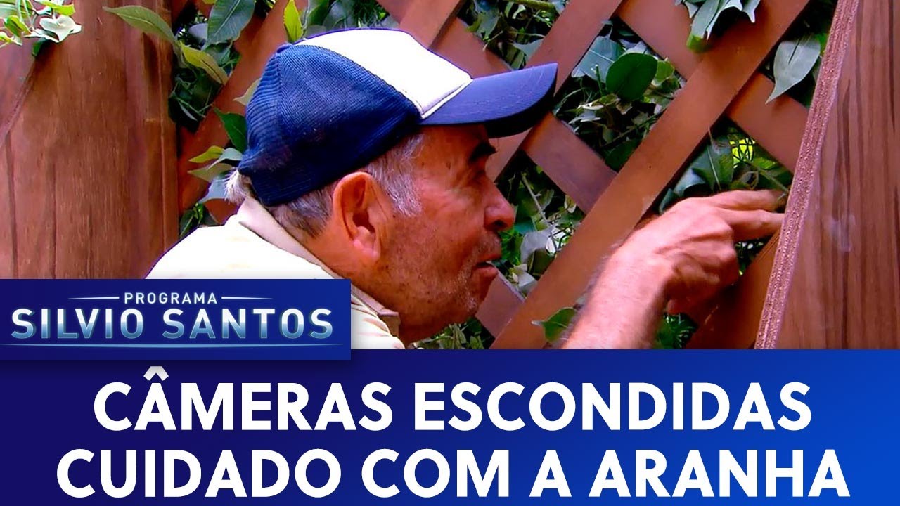 Cuidado com a Aranha - Watch Out The Spider Prank  | Câmeras Escondidas (02/06/19)