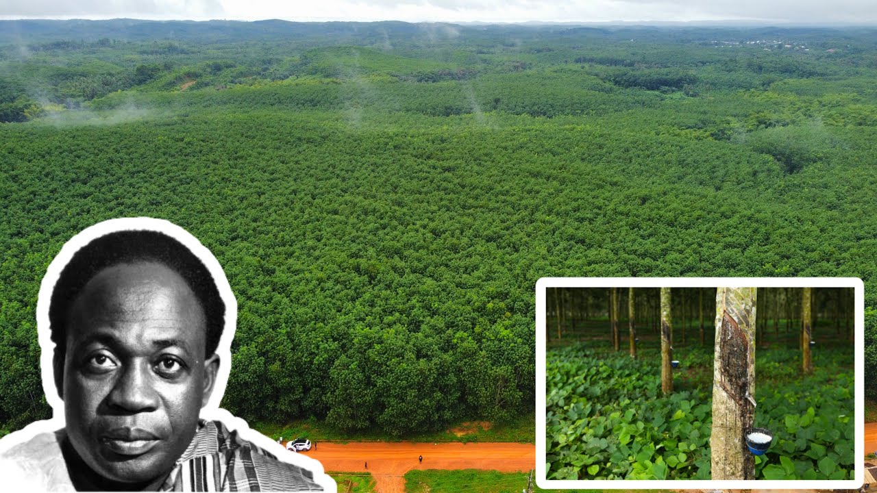Uncovering Africa's Biggest Rubber Plantation: Dr. Kwame Nkrumah's Legacy #leaks
