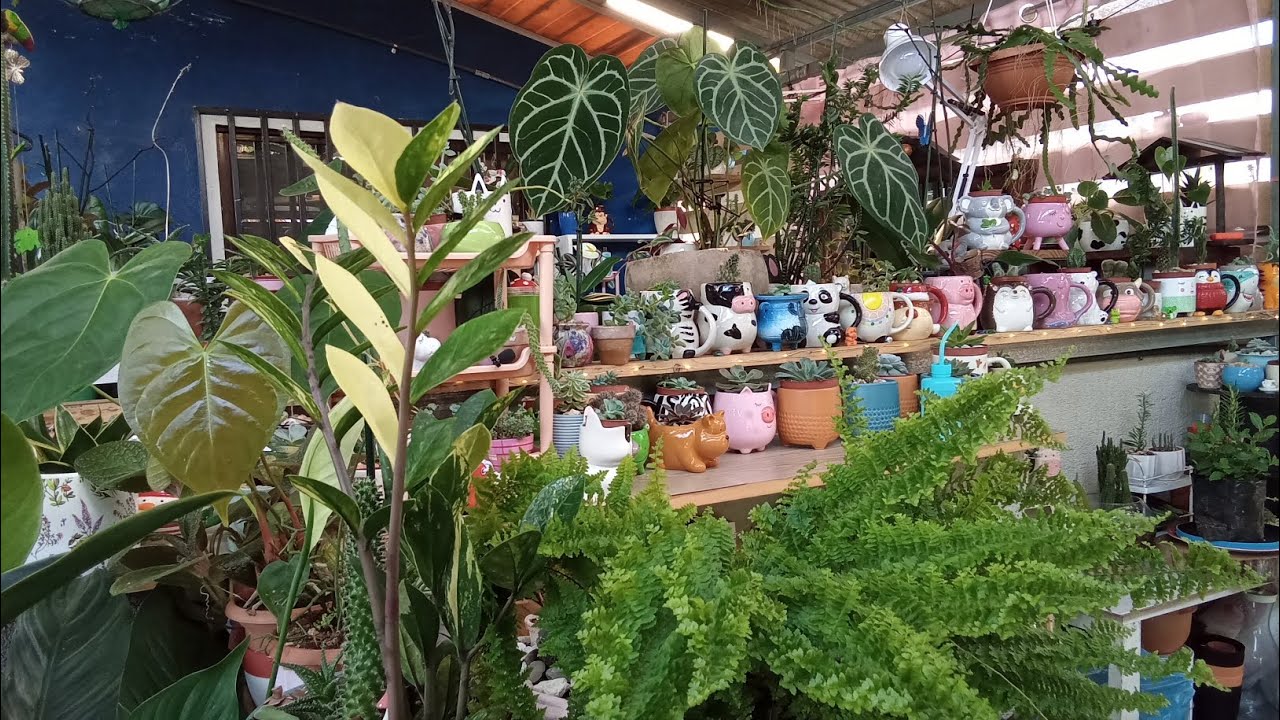 Nuevas materitas y cambio🪷🩷🌻