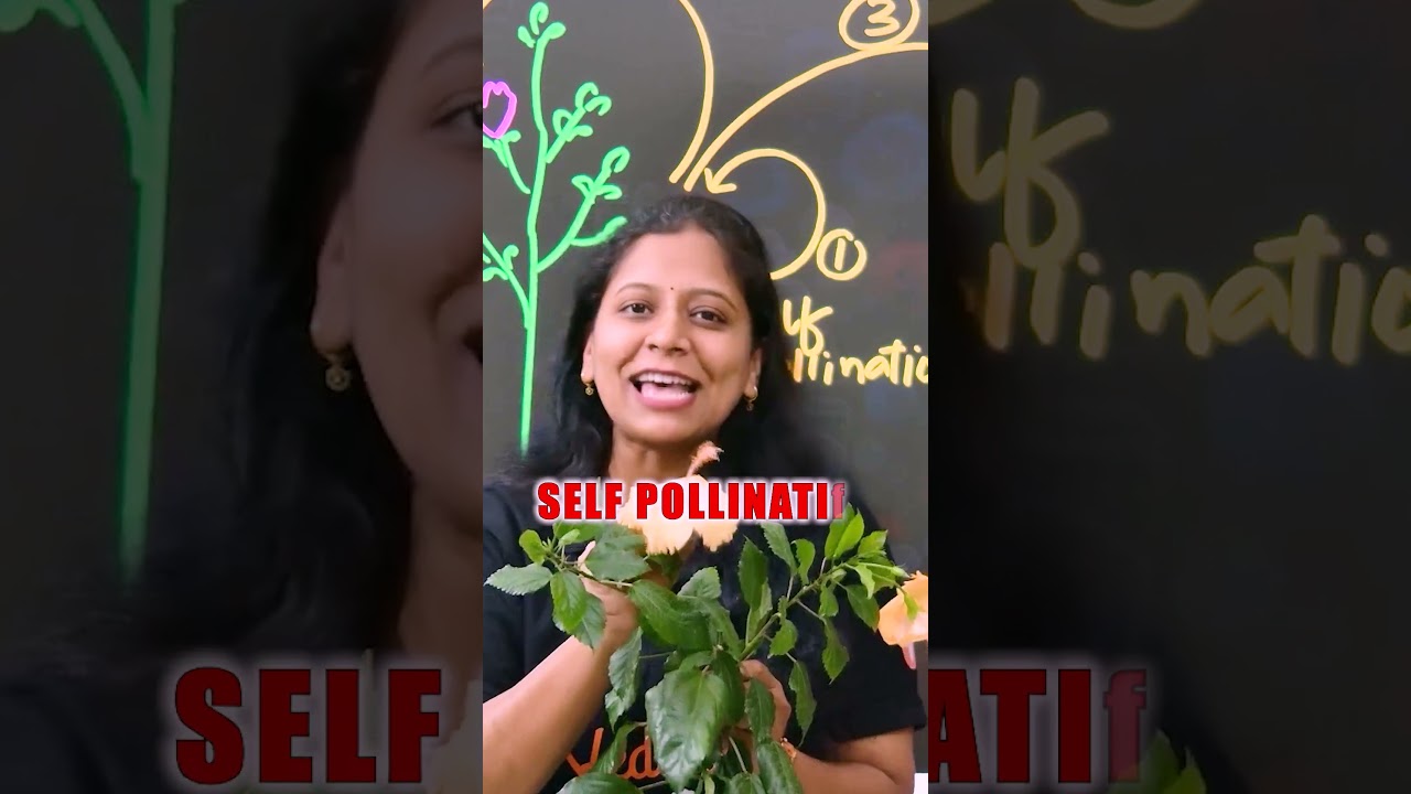 Self pollination 🤔🌸