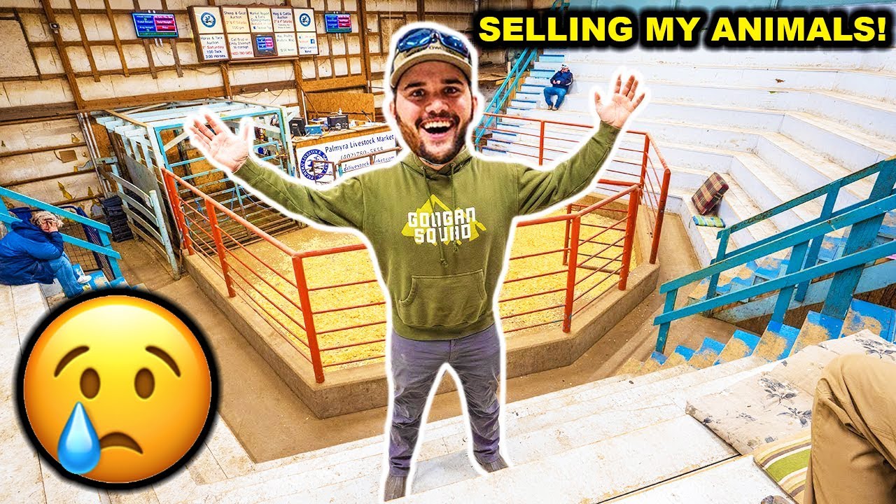 SELLING My BACKYARD FARM Animals at the AUCTION!!! (Emotional)