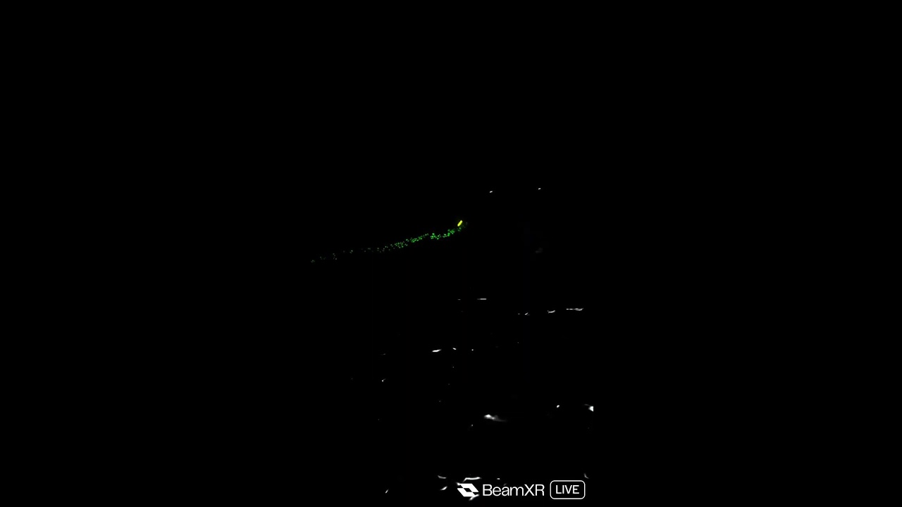 Playing Scary baboon
