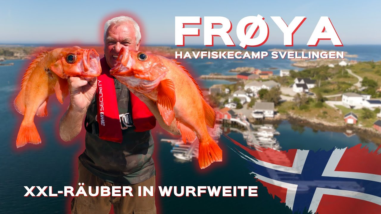 Angeln in Norwegen | Frøya Havfiskecamp – Svellingen: Pollack, Rotbarsch & Heilbutt im Sommer!