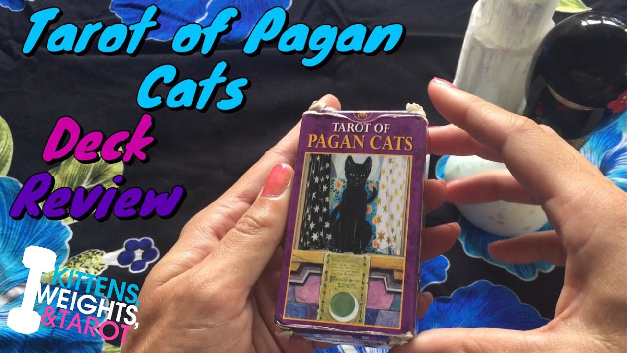 Tarot of Pagan Cats + Review