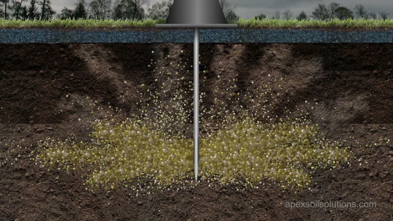 Do you have standing water ? If so we have the cure