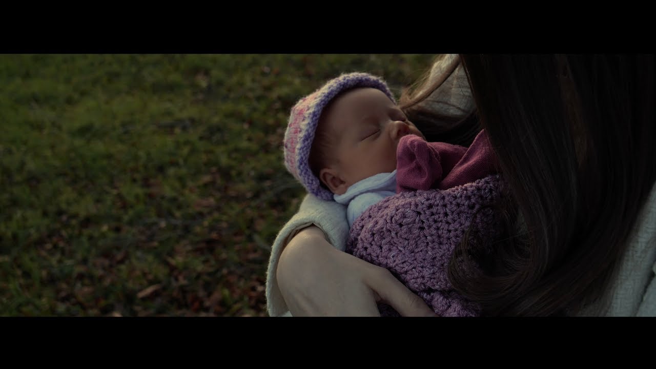 Dear Willow | The Way