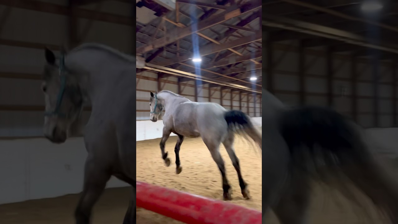 Spicy Mare! 🔥🐴