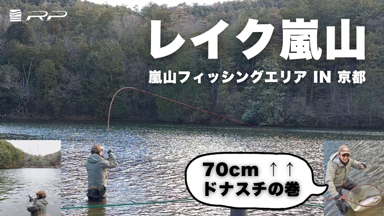 京都でこのサイズ!? レイク嵐山の70cmニジマスをウェーディングで攻略