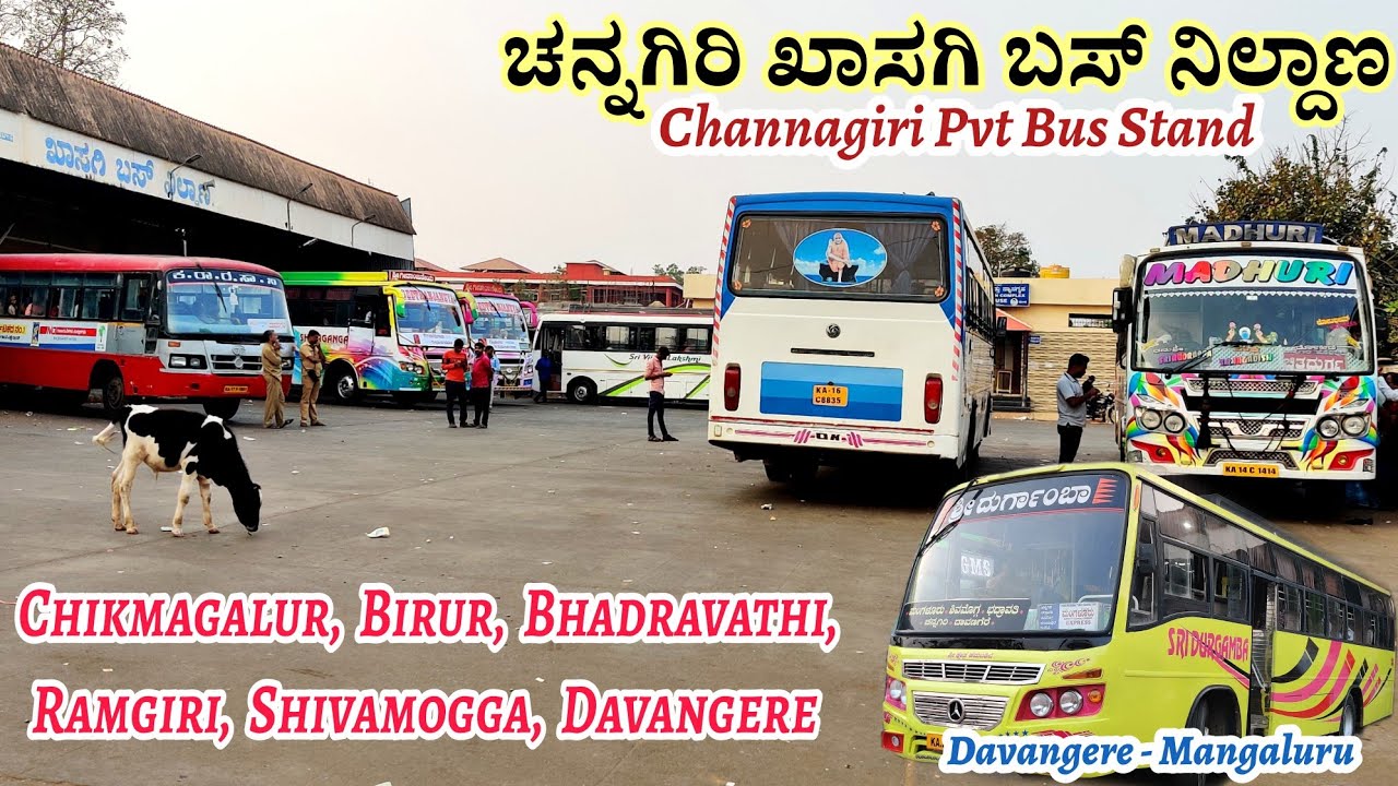 Channagiri Private Bus Stand Short Vlog | KSRTC | Mangaluru, Shivamoggga, Chikmagalur etc