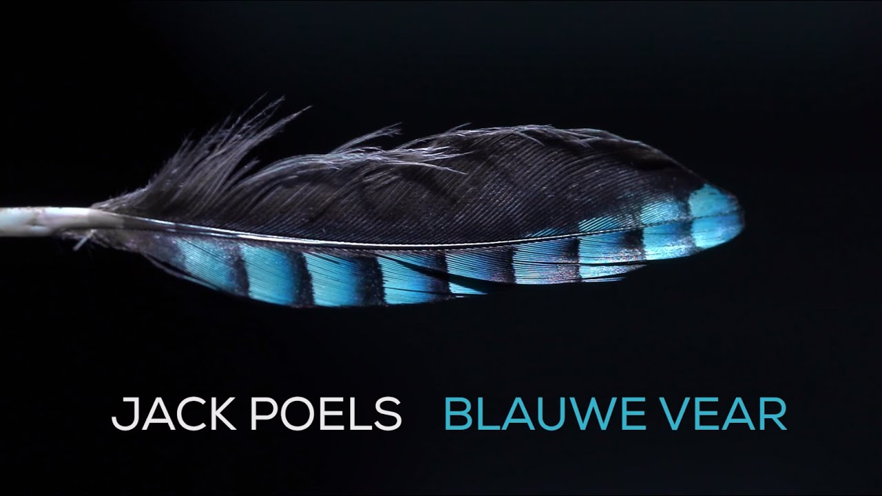 Jack Poels - Blauwe Vear (Official Video)