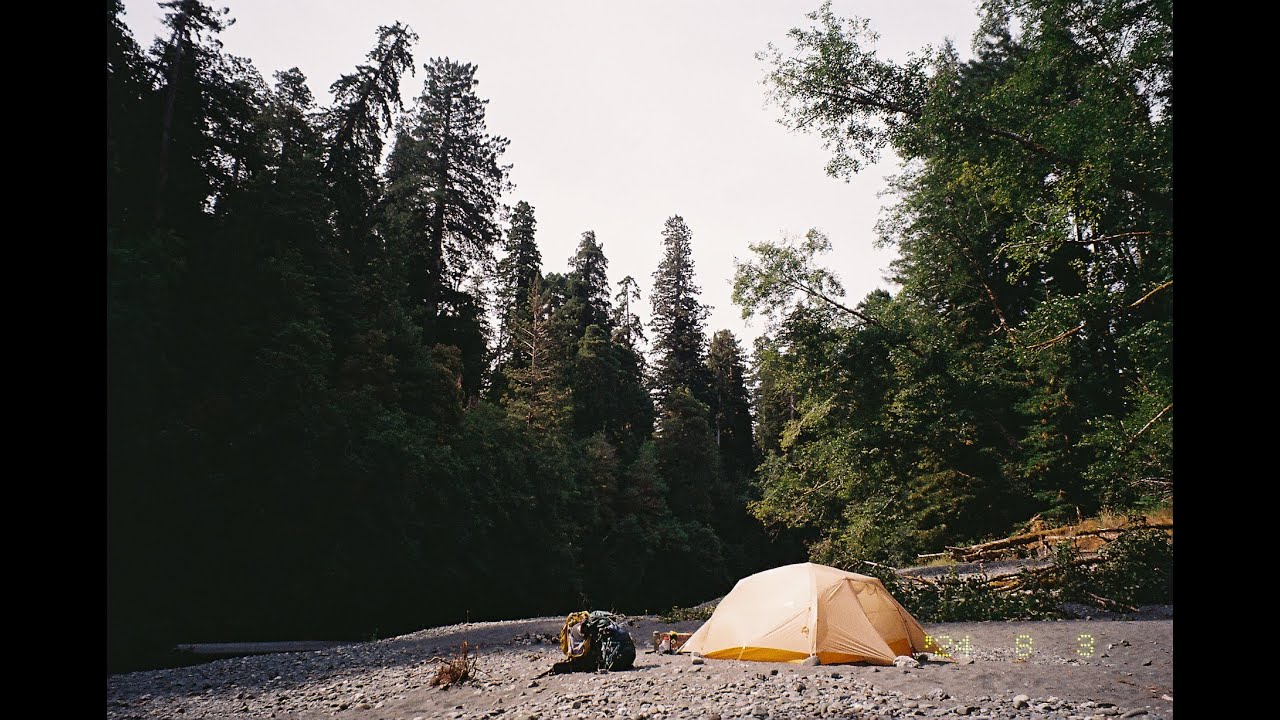 Redwood National Park 2024 | 2-night backpacking trip!