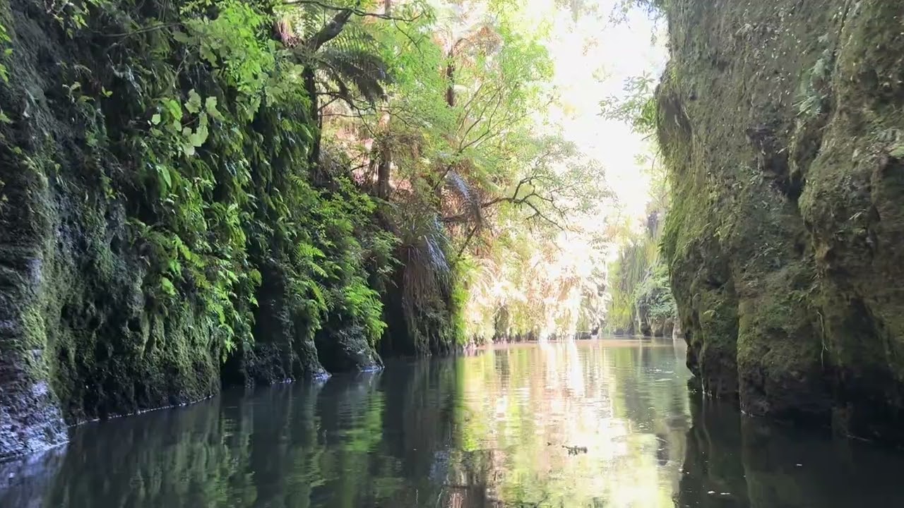 Kayaking on Pokaiwhenua Stream, Cambridge NZ