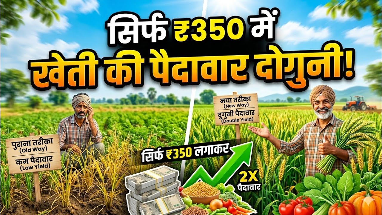फसल की ग्रोथ टेलरिंग बड़वार के लिए दमदार स्प्रे 20% ज्यादा।शानदार स्प्रे खेती के लिए