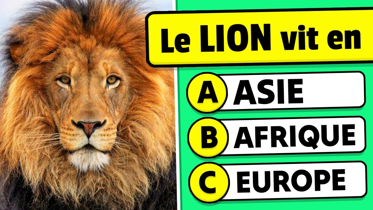 Connais-tu les FÉLINS...? 🦁🐯✅ Questions de CULTURE GÉNÉRALE sur les FÉLINS 🐆 QUIZ ANIMAUX