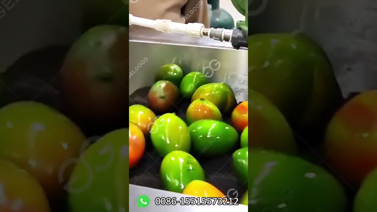 Mango Washing Line-Mango Cleaning and Waxing