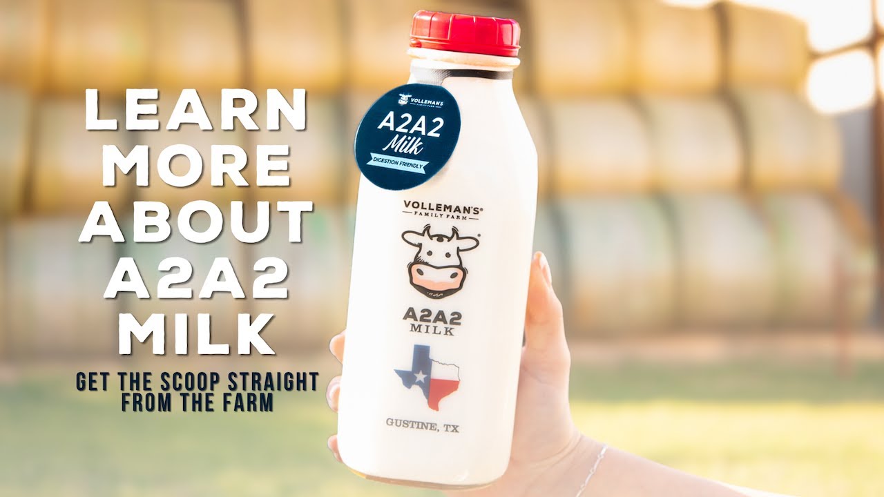 A2A2 Milk: What it is and Why it Matters