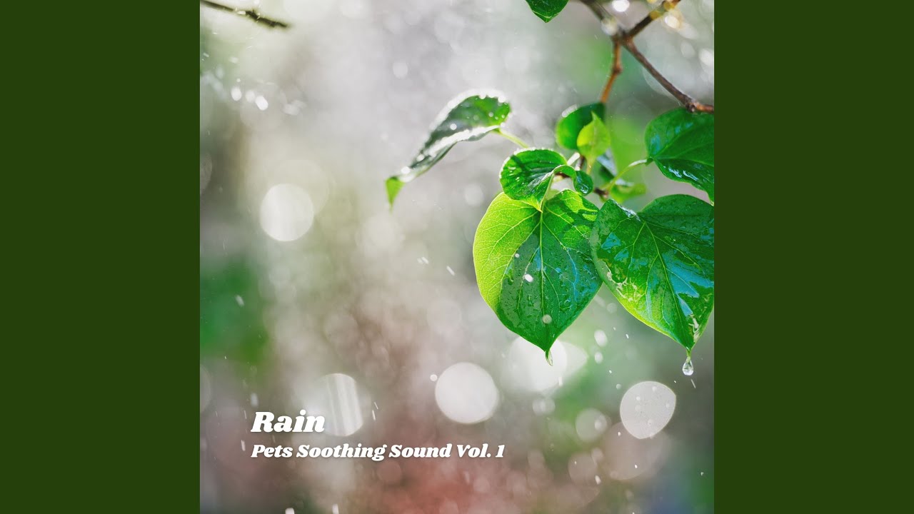 Rain Battering Noise