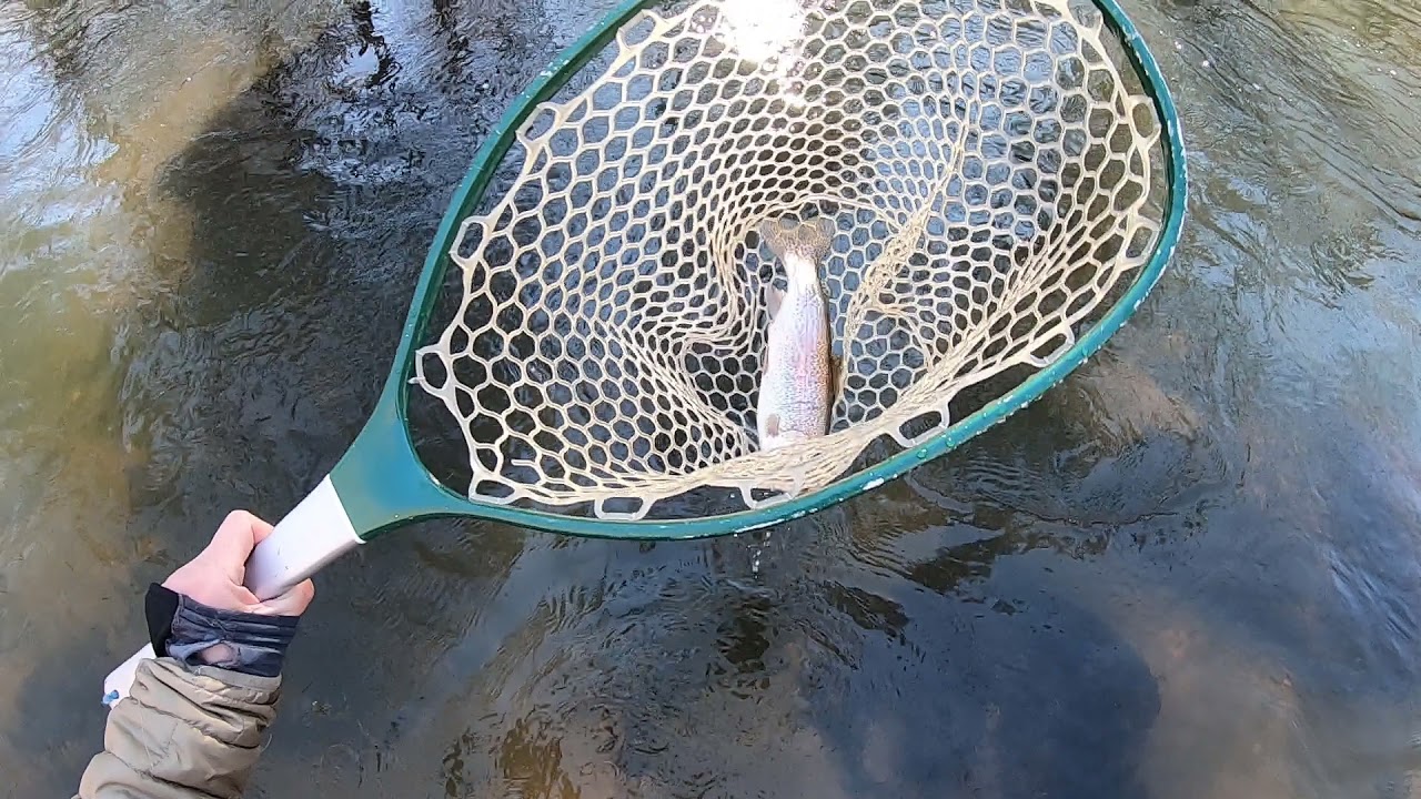 Euronymphing the Green River Delayed Harvest Section in North Carolina