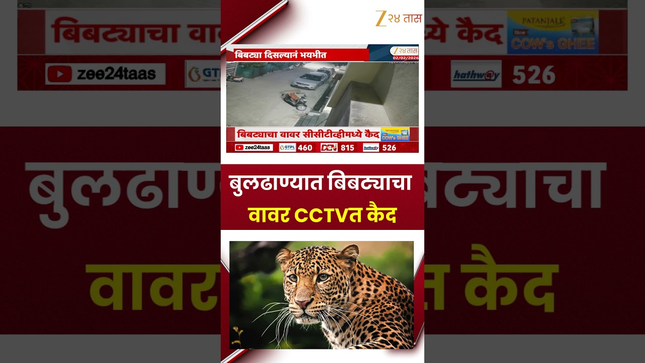 Buldhana Leopard | बिबट्याचा वावर CCTVत कैद; प्रशासनावर नागरिकांचा संताप | Zee24Taas