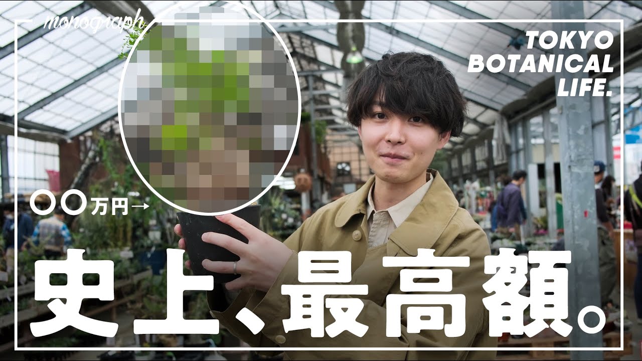 〇〇万円のヤバい植物購入！埼玉「シマムラ園芸」でまさかの大散財してしまった…。【TBL38】