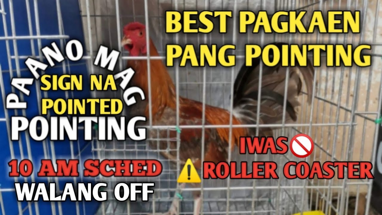 PAANO MAG POINTING