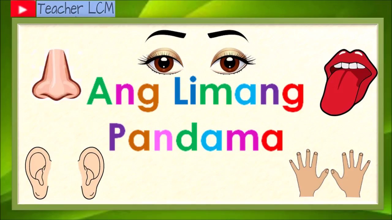 Ang Limang Pandama | 5 Senses | Kindergarten
