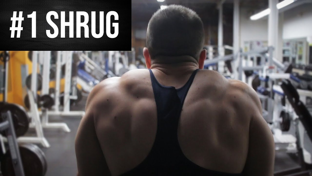 The BEST Shrug For Huge Traps!