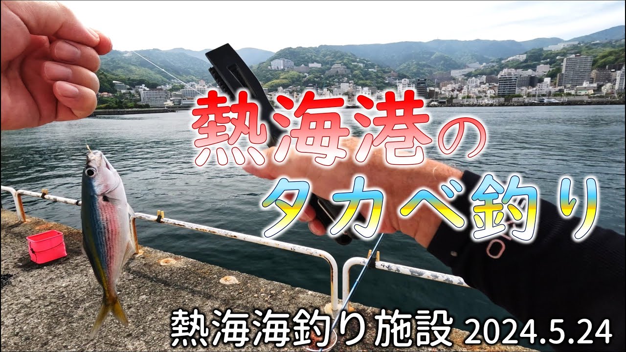 熱海港のタカベ釣り 20240524