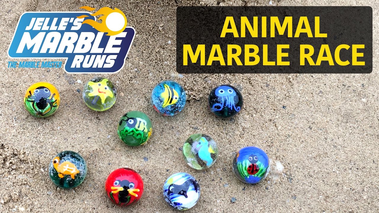 Animal Marble Race - Jelle's Marble Runs