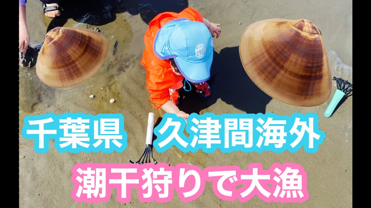 千葉県　久津間海岸で潮干狩り　子供でも簡単にアサリ、ハマグリ大漁ゲット！