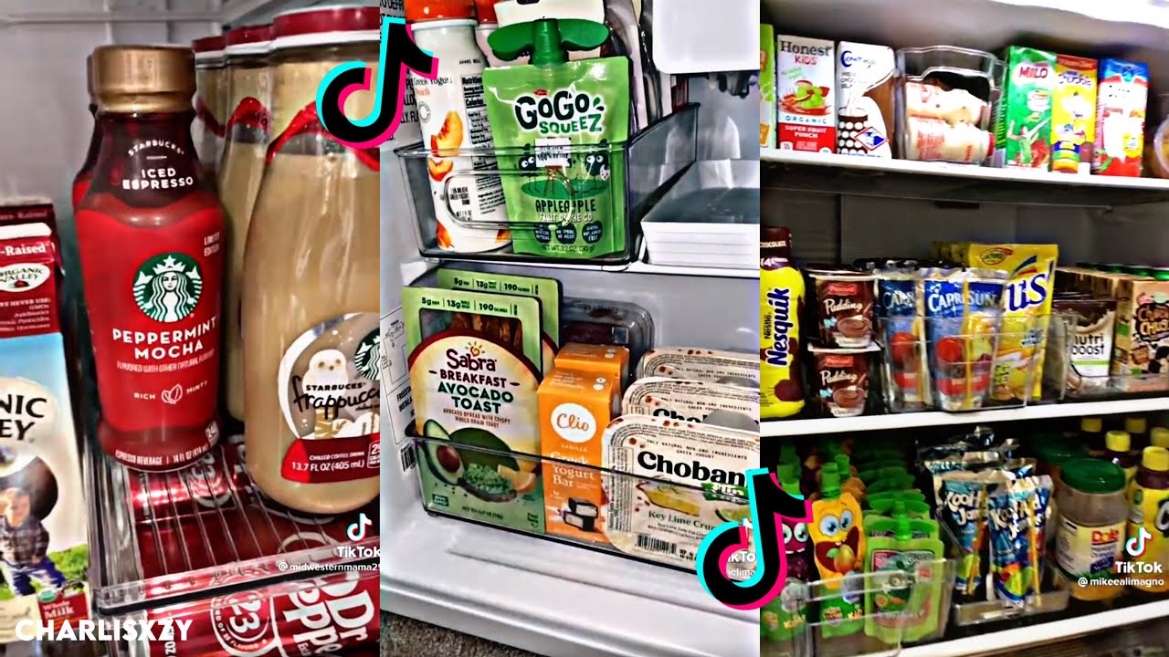 ORGANIZAÇÃO GELADEIRAS (ASMR) 🍨 *parte 2*