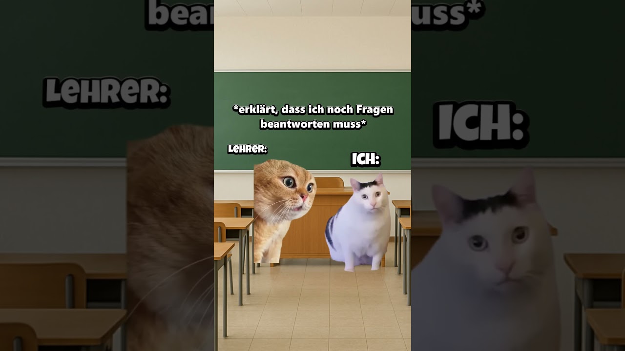 POV: Du h&auml;ltst ein Referat😂 #katzenvideos #katze #lustig #shorts #schule