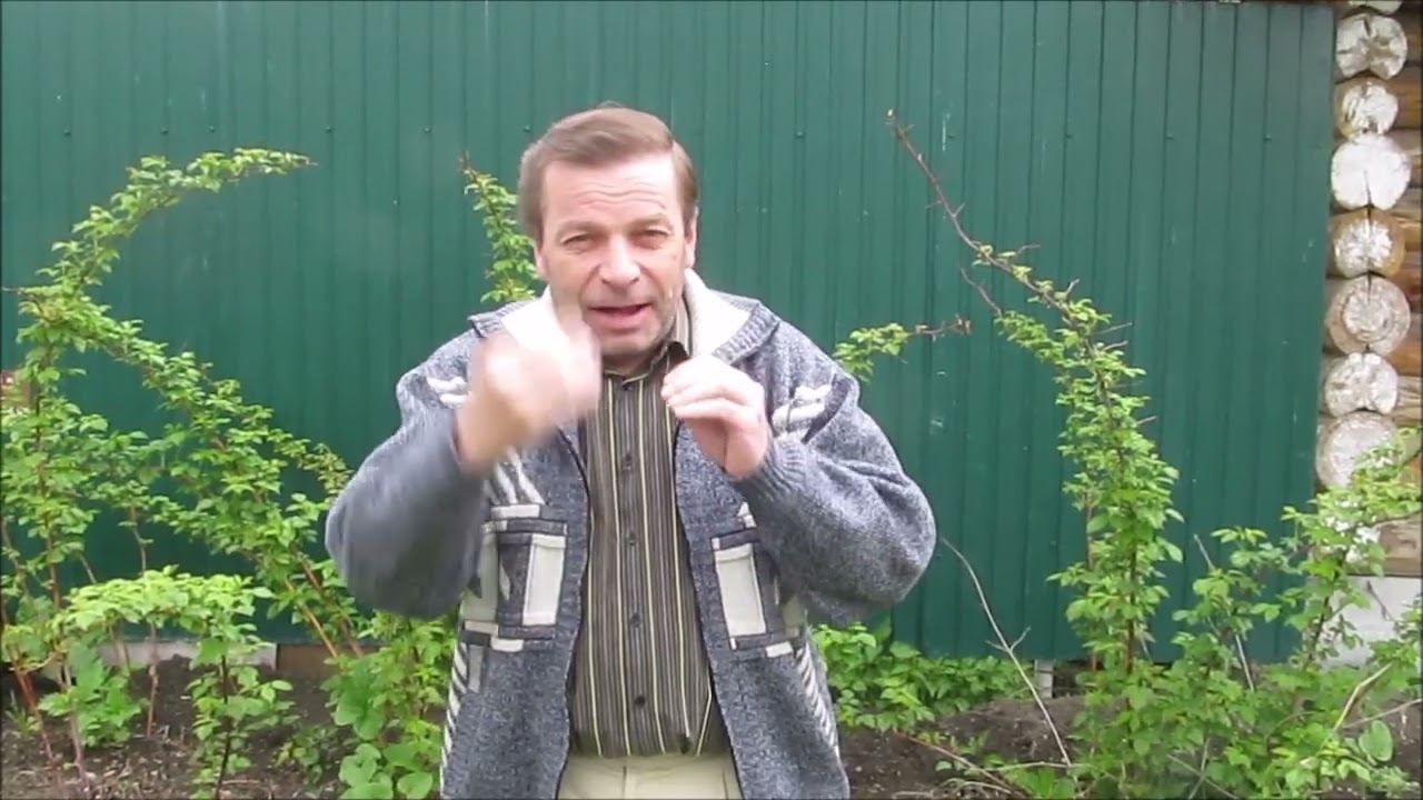 1.Беженцы. 2.Похоронное бюро.