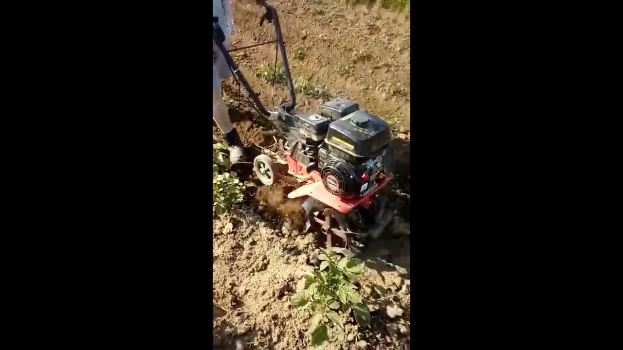Obsypywanie ziemniaków glebogryzarka Hortmasz,Texas,Musstang 2017