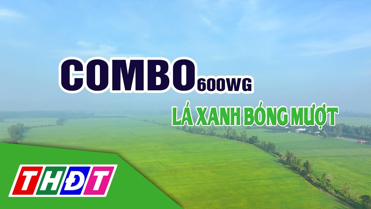 VFC Cánh đồng hội nhập 2024 kỳ 25 | Combo 600WG - Lá xanh bóng mượt | THDT