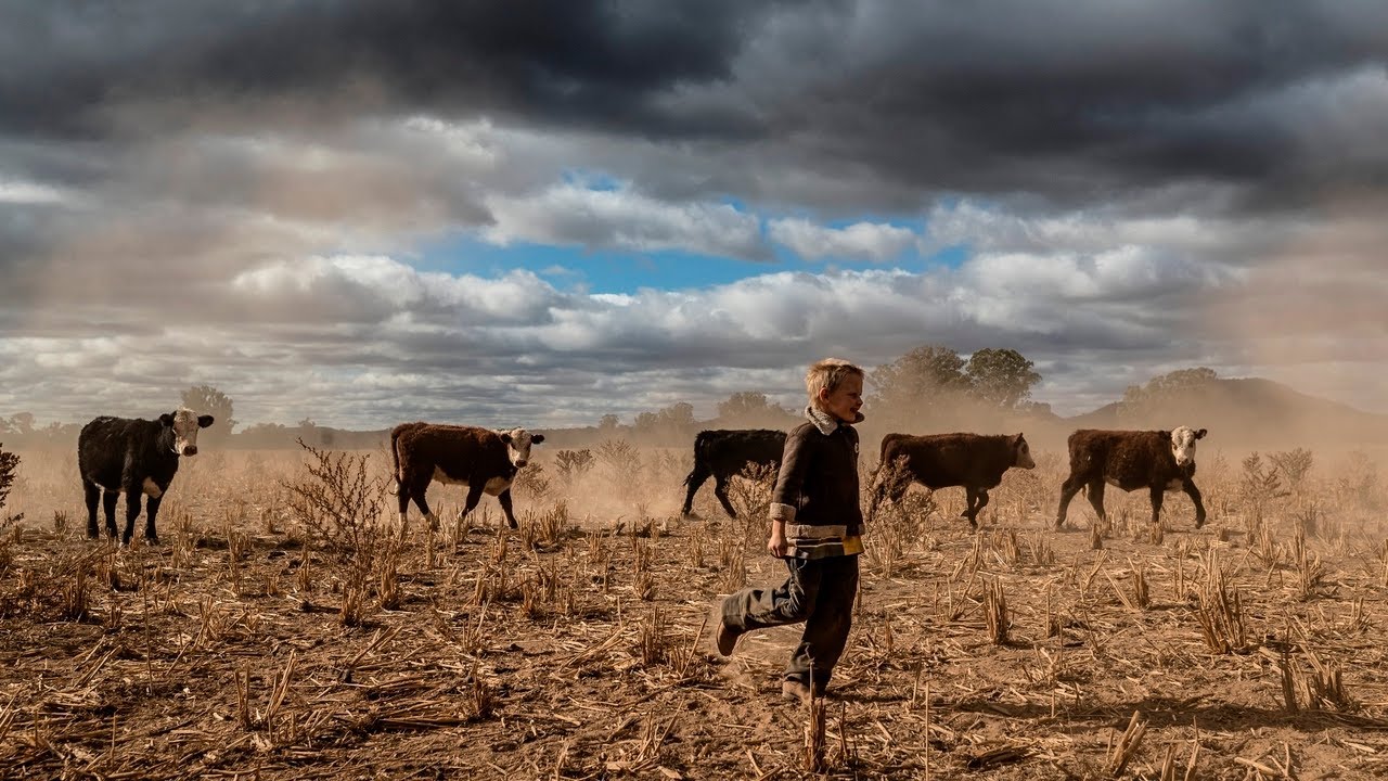 More drought relief funding to be promised to farmers