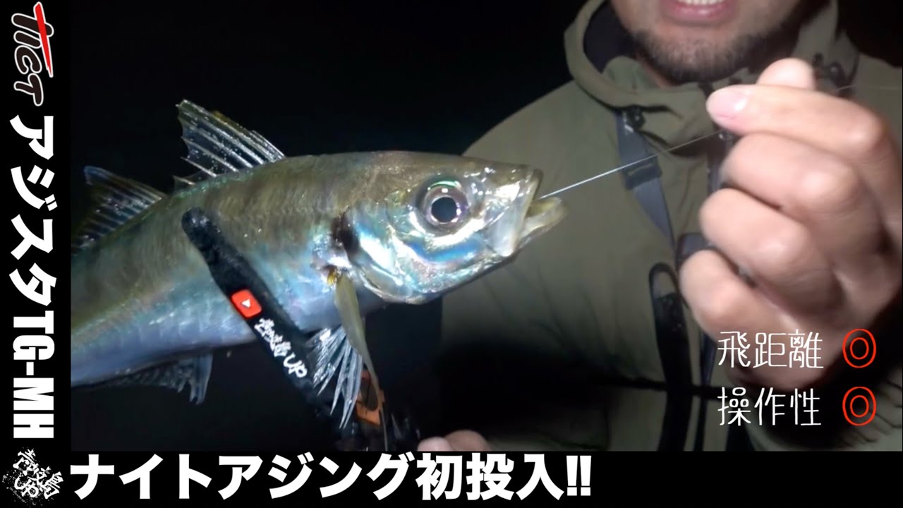 【TICT】アジスタTG-MH縛りのナイトアジングは尺上連発でした！