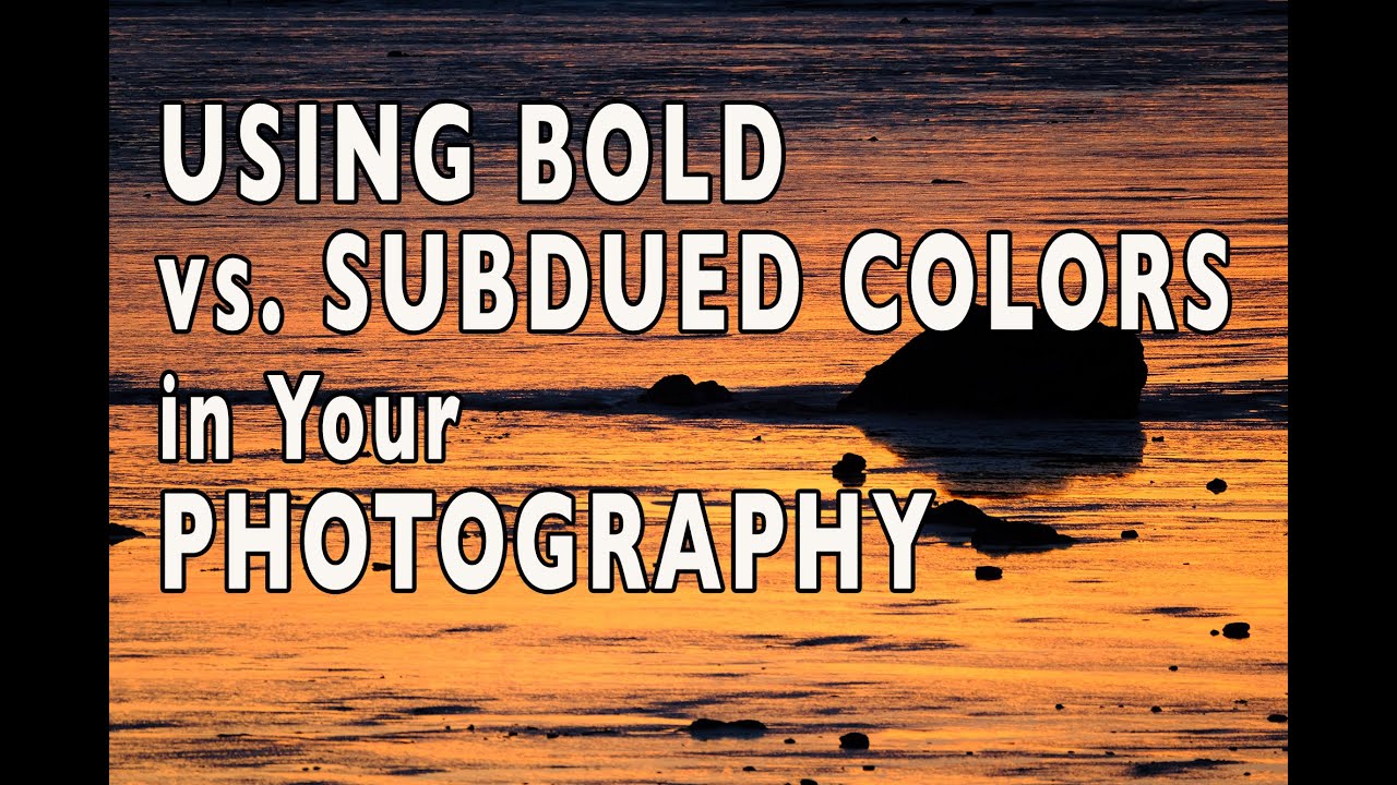 Using Bold vs Subdued Colors in Your Photography