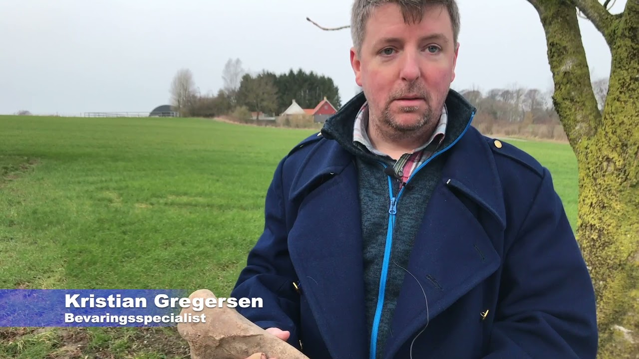 Elgknogle fundet i Sor&oslash;