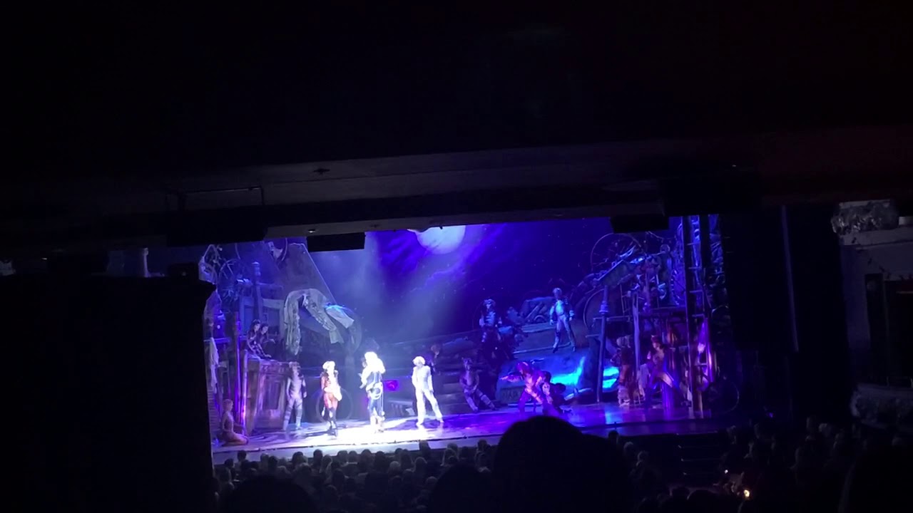 rum tum tugger- Toronto