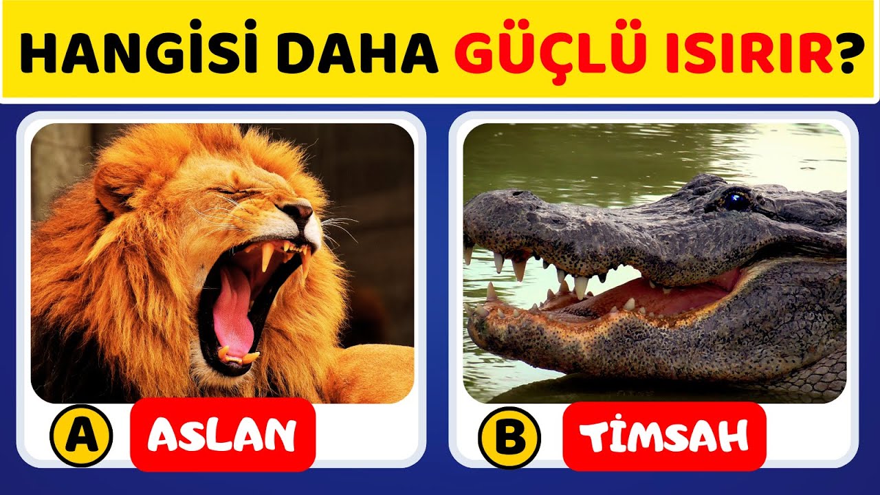 🧠 HAYVANLAR Hakkında Bilgin Ne Kadar İyi? 🦁🐱 Genel Kültür Bilgi Yarışması🐘🐯🐪✅