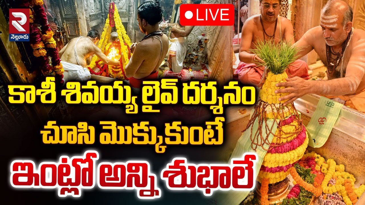 🔴LIVE : Kashi Vishwanath Darshan | కాశీ నుండి శివయ్య లైవ్ దర్శనం | Saptarishi Aarti | RTV