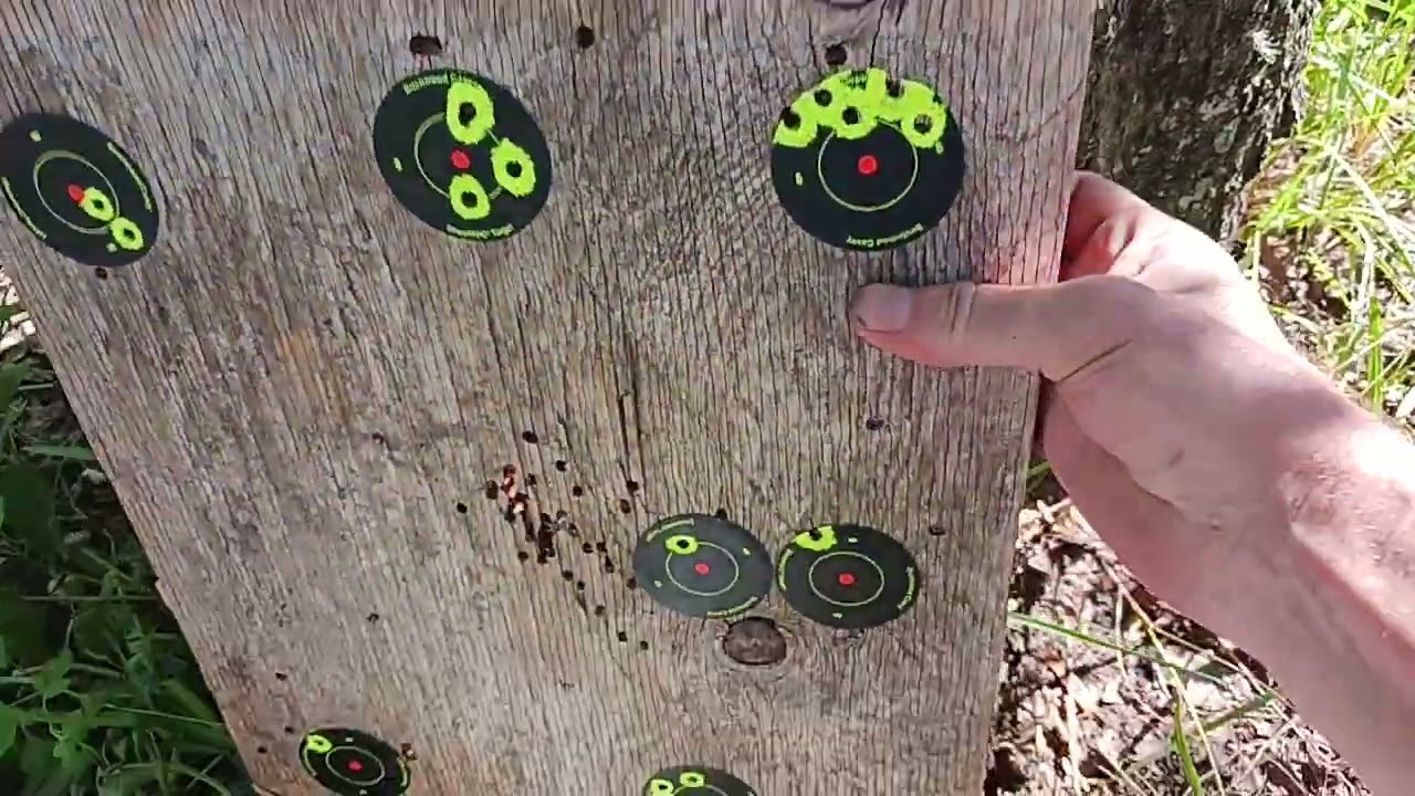 Crosman Shockwave vs gamo wildcat whisper .22