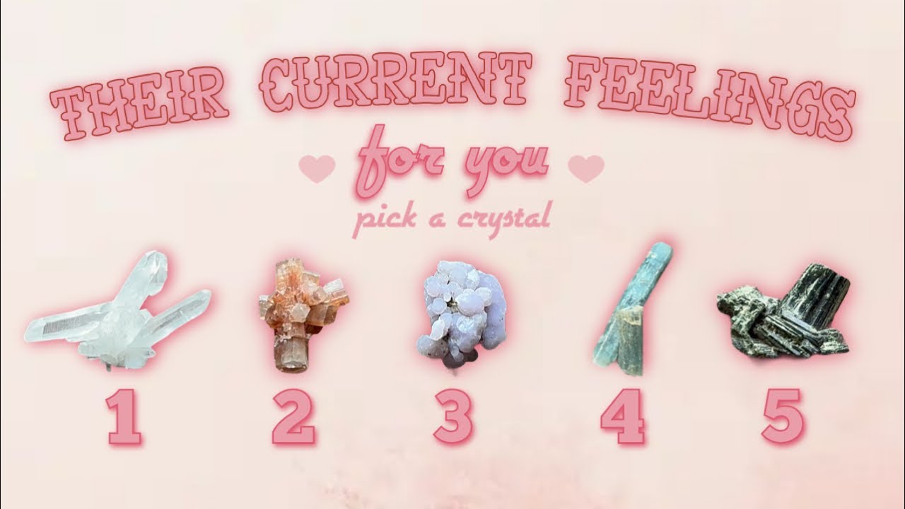 Their Current Feelings 💘 | 🌿 Tarot • Pick a Card Reading 🌟