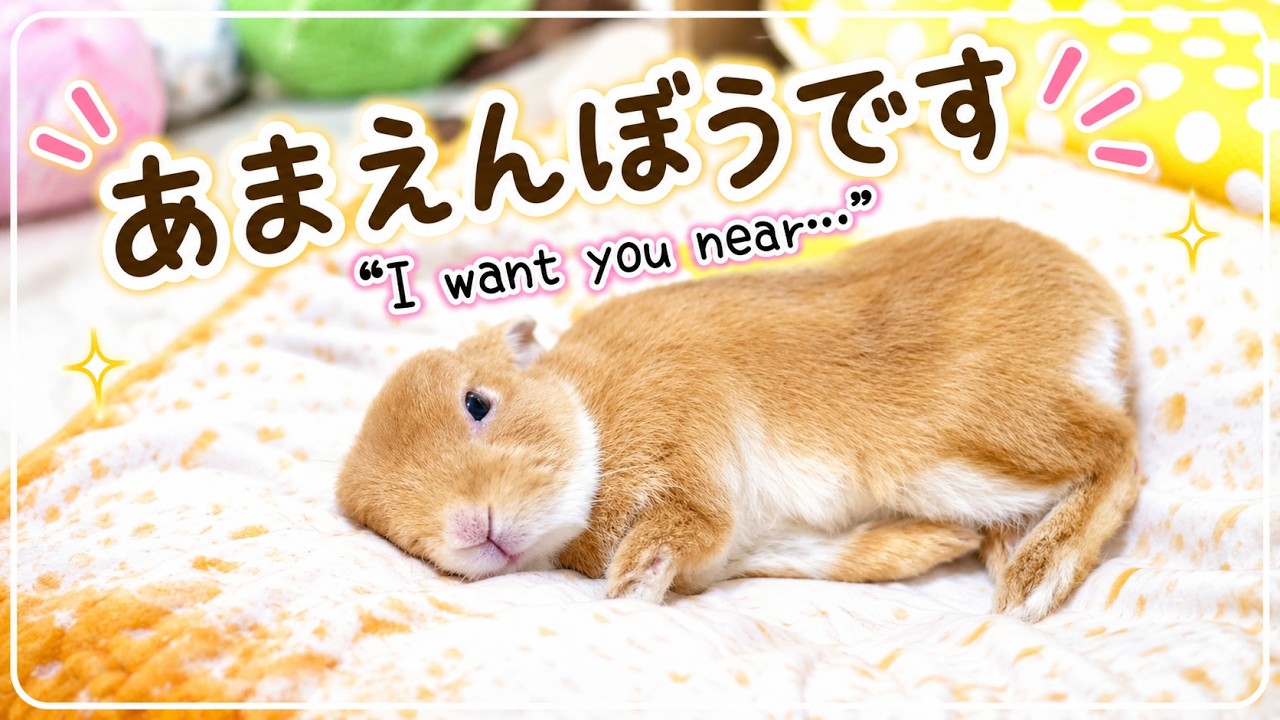 あまえんぼうのうさぎが今日も探してる An Affectionate Bunny Keeps Looking for You