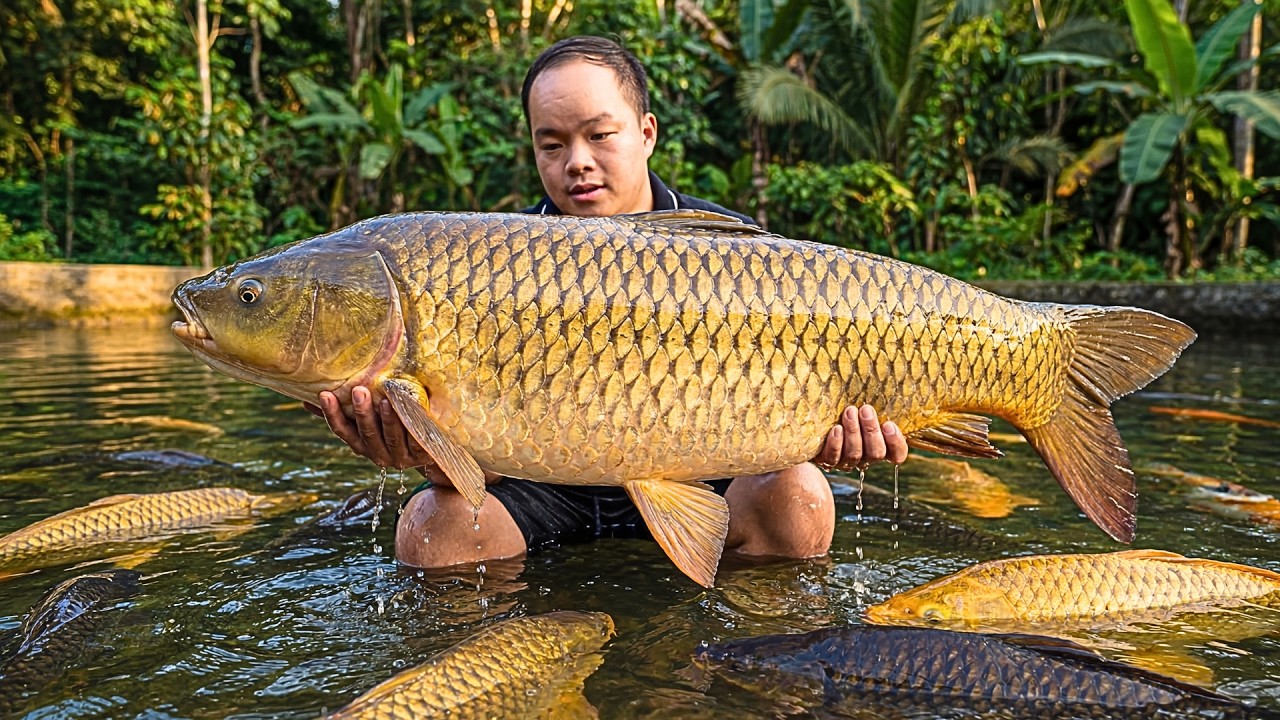 Primitive Skills Fish Farming | Cleaning the Pond and Releasing Thousands of Fish